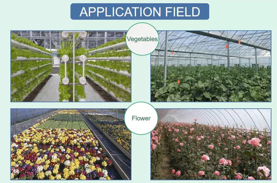 china plastic dome greenhouse