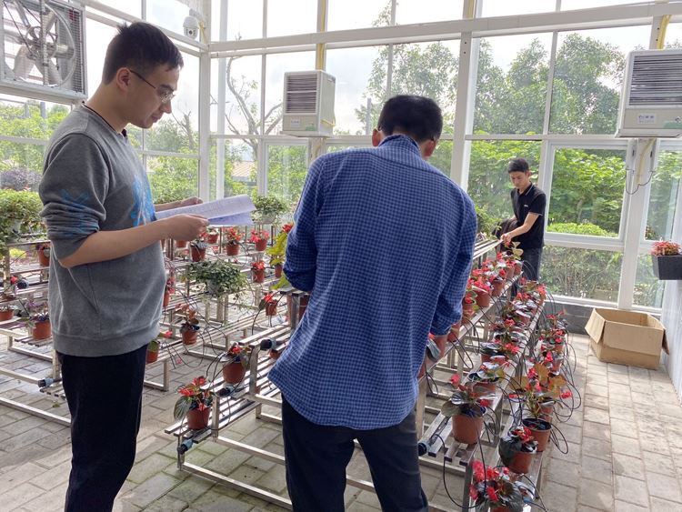 multi-span plastic greenhouse