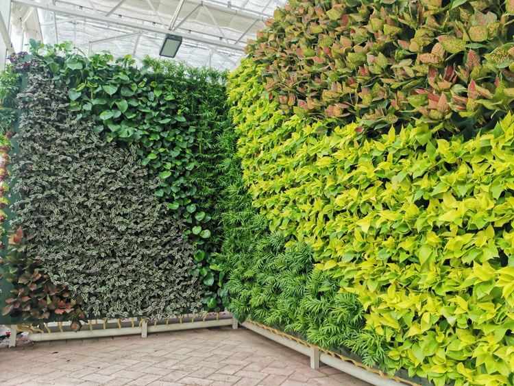 How to build a greenhouse to be more sturdy and durable