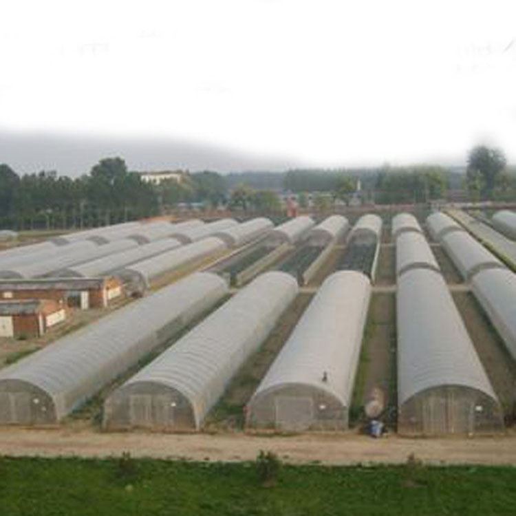 Talking about the types and characteristics of greenhouses Talking about the types and characteristics of greenhouses
