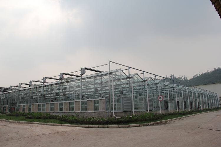 Greenhouses