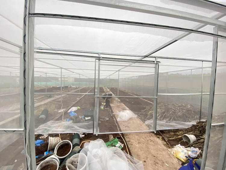 Daily maintenance and maintenance of greenhouse insulation quilt