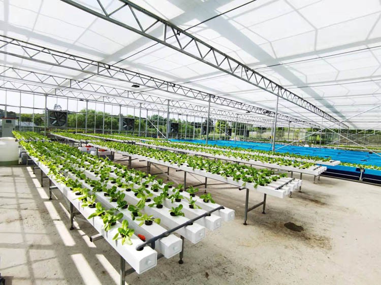 Greenhouse Install Greenhouse Install