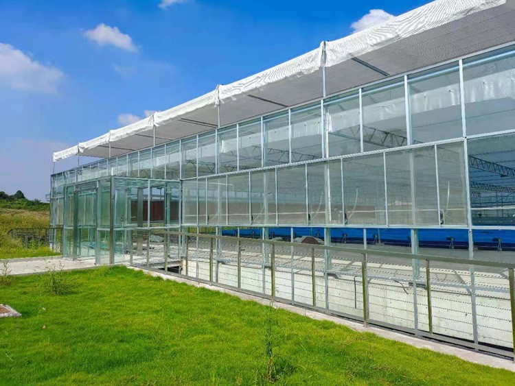 Attention to vegetable cultivation in greenhouses Attention to vegetable cultivation in greenhouses