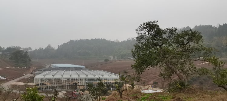 Solar Greenhouse Solar Greenhouse