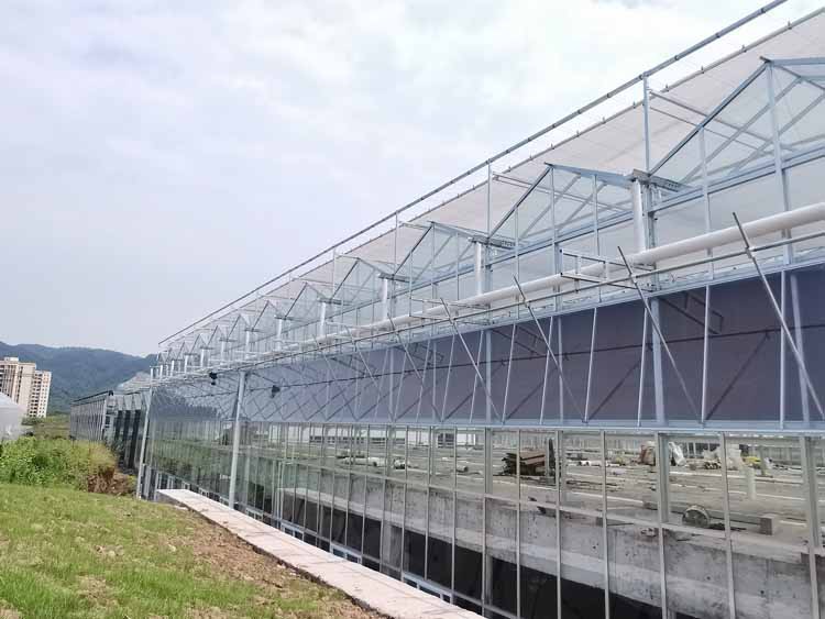 Glass Greenhouse